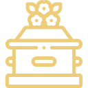 coffin Coffin Icon